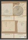 Coscinodiscus rothii (Ehr.) Grun. (de-Toni-Nr.: Genus 202, Species 4950) Zeichnungen Sammlung Grunow Nr. 8545 (NHMW-BOT-W0378179)